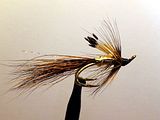 Ally's Shrimp copper size 11 & 13